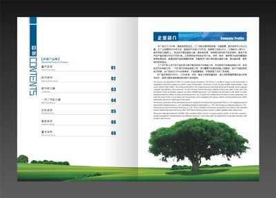 專業(yè)設(shè)計，精準(zhǔn)傳達(dá)——寧波離合器企業(yè)樣本設(shè)計印刷全解析